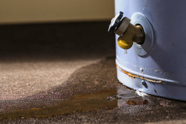 Best Water damage restoration experts  in Maquoketa, IA