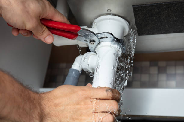 Best Water damage contractors near me  in Maquoketa, IA