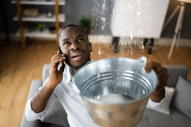 Best Professional water damage repair  in Maquoketa, IA