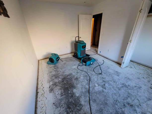 Best Carpet water damage restoration  in Maquoketa, IA