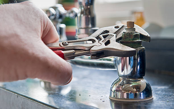 Best Flood damage cleanup  in Maquoketa, IA