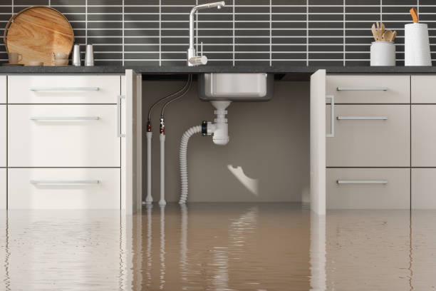 Best Emergency water extraction  in Maquoketa, IA
