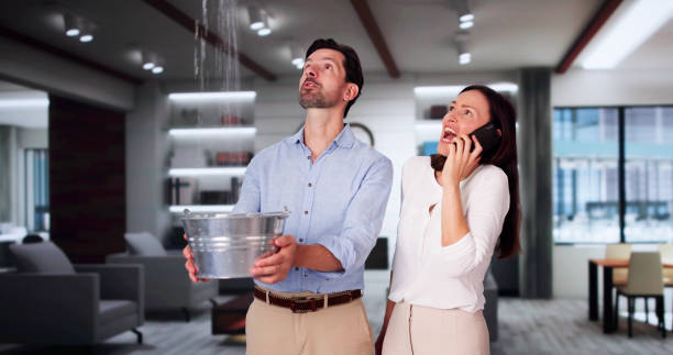 Best Water damage restoration near me  in Maquoketa, IA