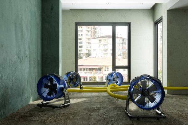 Best Emergency water damage restoration  in Maquoketa, IA
