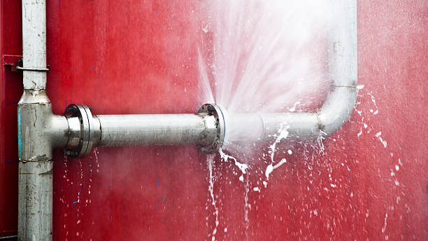 Best Commercial water damage restoration  in Maquoketa, IA